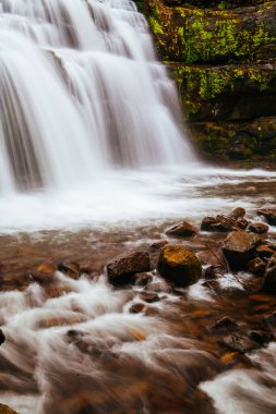 Tazmanya Avustralya 'da Liffey Falls