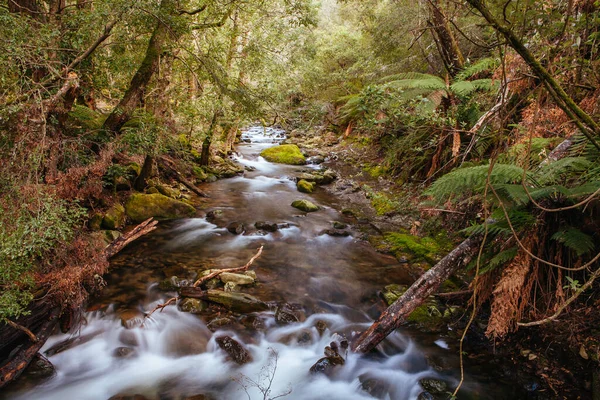 Liffey Falls in Tasmania Australia — Foto Stock