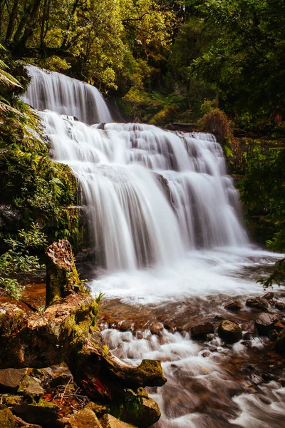 Liffey Falls itt: Tasmania Ausztrália — Stock Fotó