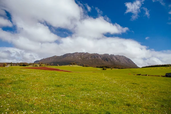 Mt Roland na Tasmânia Austrália — Fotografia de Stock