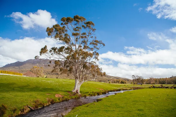 Mt Roland in Tasmania Australia — Foto Stock