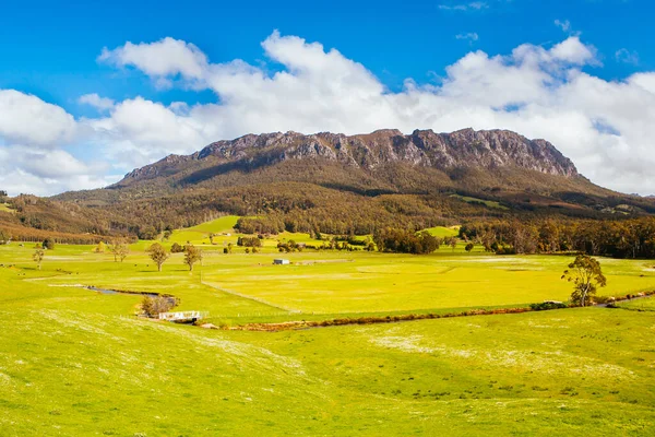 Mt Roland in Tasmania Australia — Stock Photo, Image