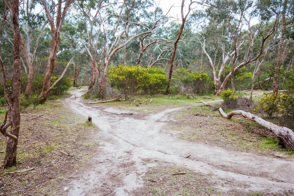 Avustralya 'da Bolluk Gorge Parklands — Stok fotoğraf