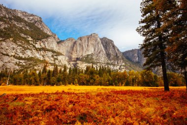 ABD 'deki Yosemite Vadisi ve Meadows