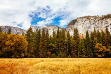 ABD 'deki Yosemite Vadisi ve Meadows