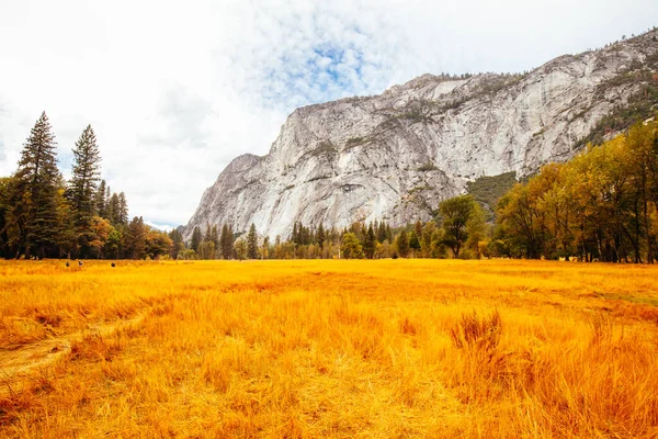 Valle de Yosemite y Meadows en Estados Unidos — Foto de Stock