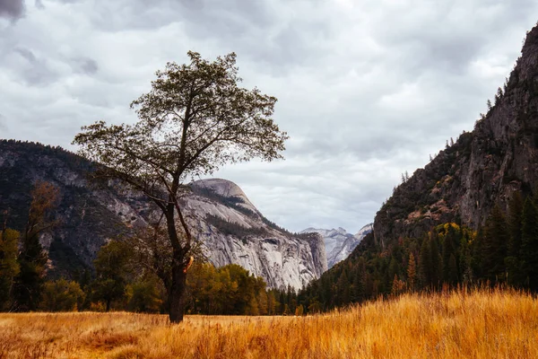 Valle de Yosemite y Meadows en Estados Unidos — Foto de Stock