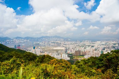 Hong kong manzarası