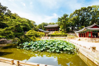 Changdeokgung Sarayı Güney Kore Gizli Bahçesi