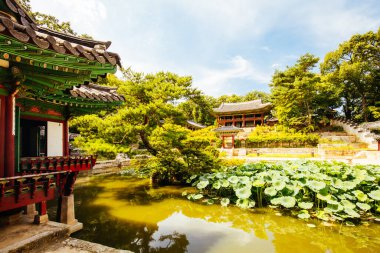 Changdeokgung Sarayı Güney Kore Gizli Bahçesi