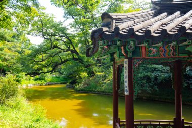 Changdeokgung Sarayı Güney Kore