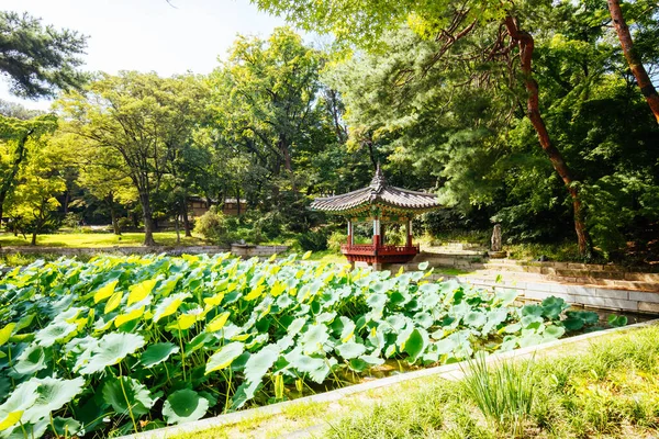 Changdeokgung Palace Secret Garden in South Korea