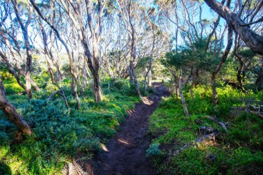 İki Körfez Yürüme Pisti
