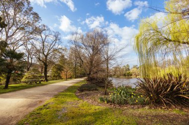 Ünlü Castlemaine Botanik Bahçeleri Castlemaine, Victoria, Avustralya 'da ılık bir bahar öğleden sonra