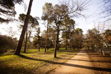 Ünlü Castlemaine Botanik Bahçeleri Castlemaine, Victoria, Avustralya 'da ılık bir bahar öğleden sonra