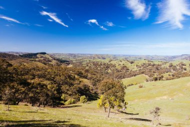 Victoria, Avustralya 'da güneşli bir bahar gününde Murchison Gap Gözcüsü' nden Strath Creek 'in güzel bir manzarası var.