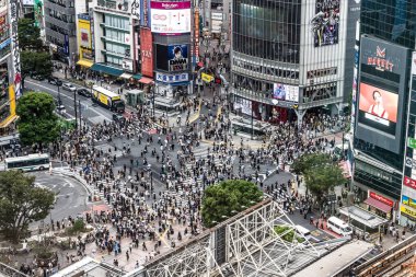 TOKYO, JAPONYA - 16 EYLÜL 2024 - Tokyo, Japonya 'da en çok kullanılan yaya geçişlerinden biri olan Shibuya Geçidi' nin havadan görünüşü
