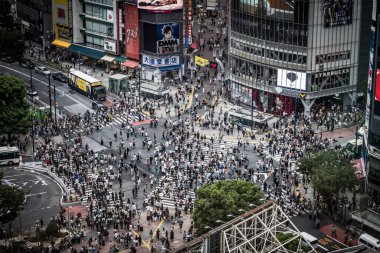 TOKYO, JAPONYA - 16 EYLÜL 2024 - Tokyo, Japonya 'da en çok kullanılan yaya geçişlerinden biri olan Shibuya Geçidi' nin havadan görünüşü