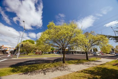 BAIRNSDALE, AUSTRALYA - 21 Eylül 2025: Victoria, Avustralya 'da güneşli bir bahar gününde Bairnsdale' deki Ana St Gardens 'ı geziyor