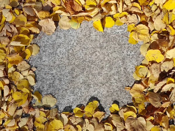 Feuilles d'automne jaune cadre avec espace de copie — Photo