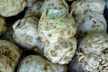 Organik kereviz kök ve yaprakları çiftlikten taze. arka plan