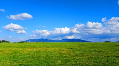 Harika bir manzara dağ manzarası.
