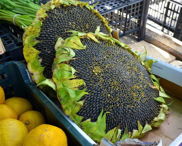 Ayçiçeği tohumları Çiftçi Market Satılık ile — Stok fotoğraf