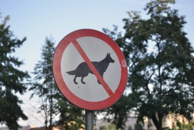 Köpek işareti parkta izin yok
