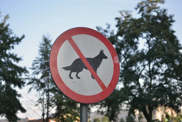 Keine Hunde erlaubt Schild im Park — Stockfoto