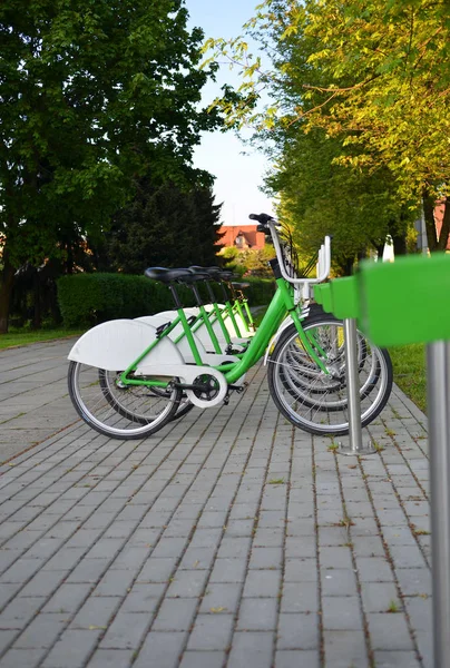 City bikes standing on the sidewalk — Stock Photo, Image