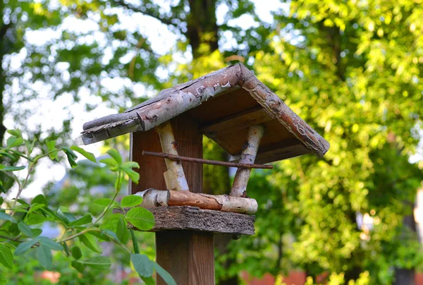 Birdhouse na árvore. — Fotografia de Stock