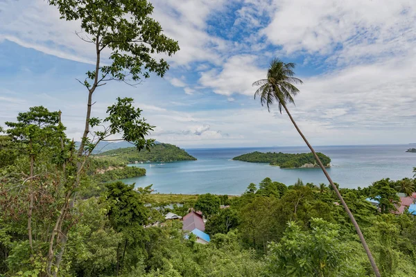 Yukarıdan tropik sahil manzarası, hindistan cevizi ağacı ve güzel gökyüzü