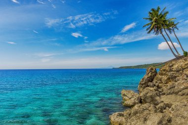 Güzel tropik sahil manzarası, hindistan cevizi ağacı, güzel gökyüzü.