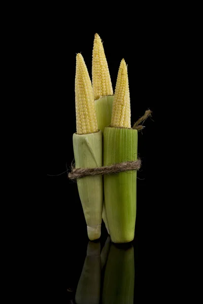 Young raw baby corn isolated on black background — Stock Photo, Image