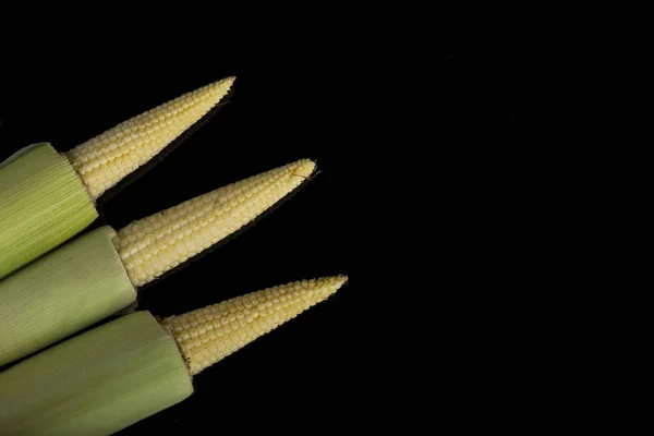 Young raw baby corn isolated on black background — Stock Photo, Image