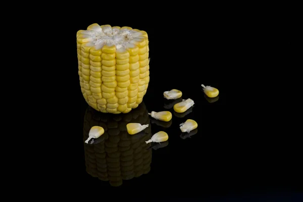 Ears sweet corn isolated on black background — Stock Photo, Image