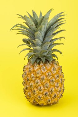 Sarı üzerine izole edilmiş sarı bir ananas. Yaratıcı tropikal meyve c