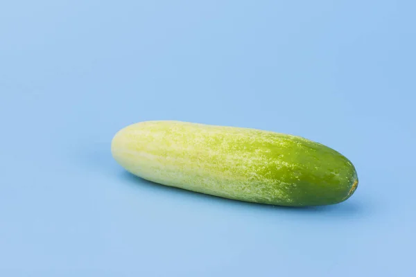 A cucumber isolated on blue — Stock Photo, Image