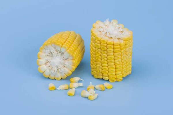 Yellow sweet corn isolated on blueu — Stock Photo, Image