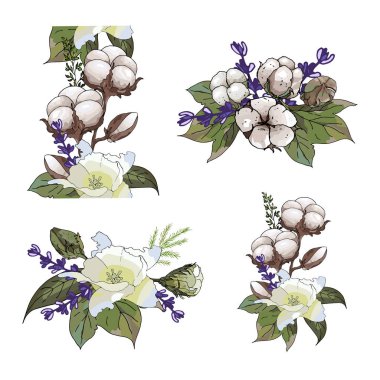 Fset çiçek yaz demetleri. Pamuk bitki, pamuk çiçek, lavanta çiçeği ile şirin grup