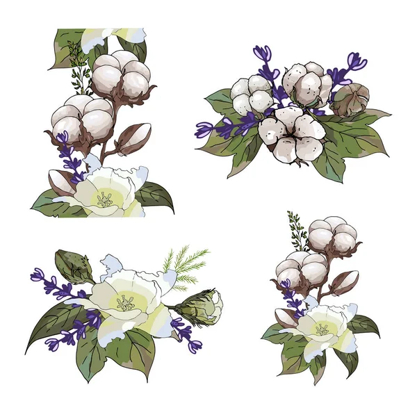 Ensemble Grappes Florales Été Mignon Bouquet Coton Fleur Coton Fleur — Image vectorielle