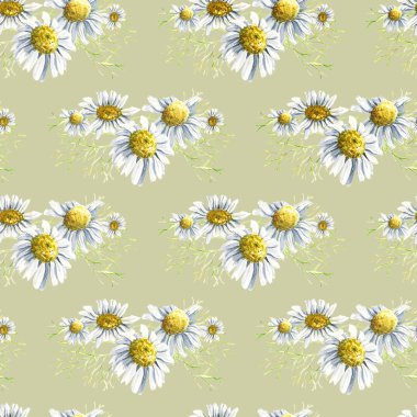 Dikişsiz desen wirh çiçek öğeleri Paskalya veya bahar tasarımı. Papatya Mimoza ve papatya çiçekler ile sonsuz doku. yeşil arka plan üzerinde