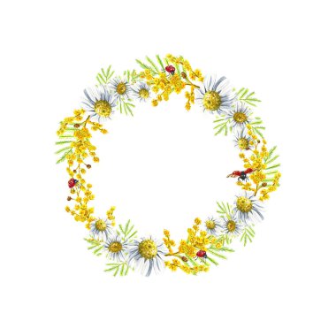 Bahar el çekilmiş suluboya papatya papatya ve Mimoza kare yuvarlak