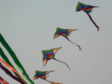 Cuatro cometas alineadas vuelan en un cielo celeste sin nubes