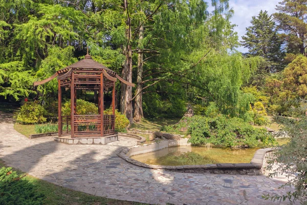 Het arboretum in Sotsji op zomertijd — Stockfoto