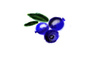 Beyaz arkaplanda yaprakları olan yabanmersini..