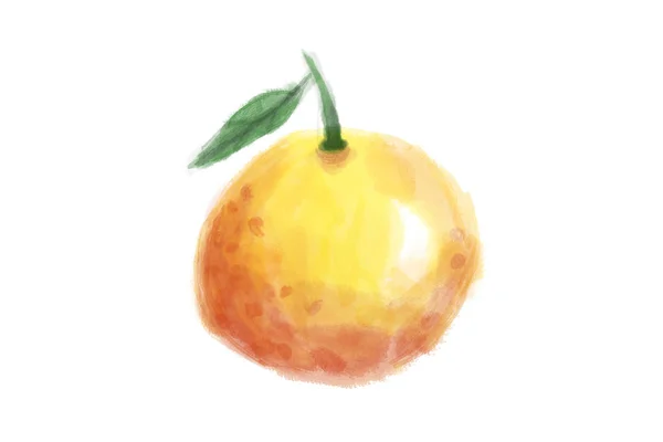 Naranja maduro con dibujo de hojas por acuarela — Foto de Stock
