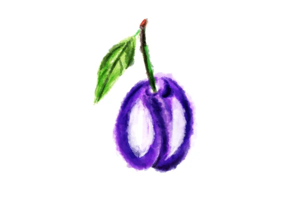 Ripe plum with leaf drawing by watercolor — Stock Photo, Image