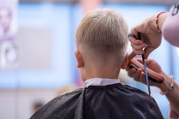 Hairdresser cuts hairs with clipper on boys head.