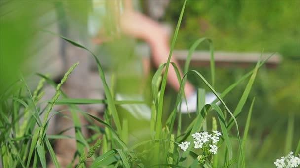 Ragazza che riposa sul molo vicino al piccolo fiume . — Video Stock